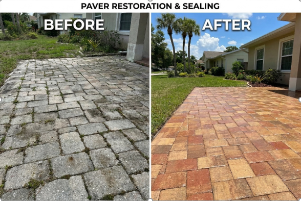 Transform and Protect Your Outdoors: Experts in Paver Installation and Restoration in Tampa