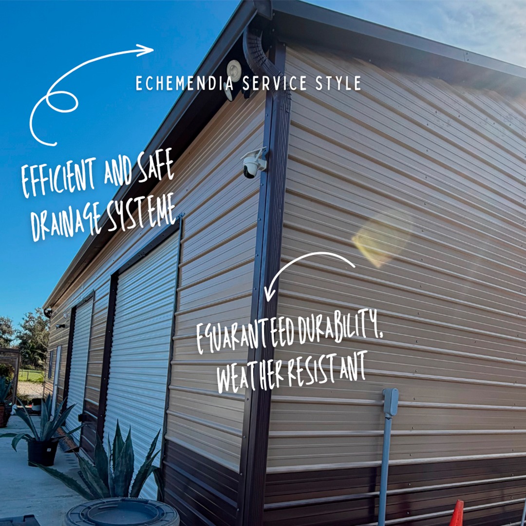 WhatsApp Image 2026-03-16 at 8.47.31 AM