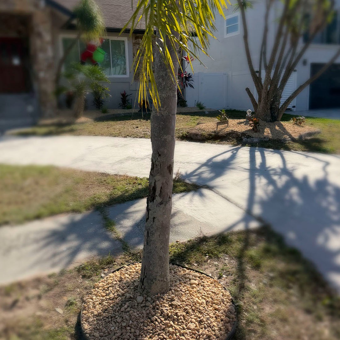 WhatsApp Image 2026-03-16 at 9.17.14 AM (1)