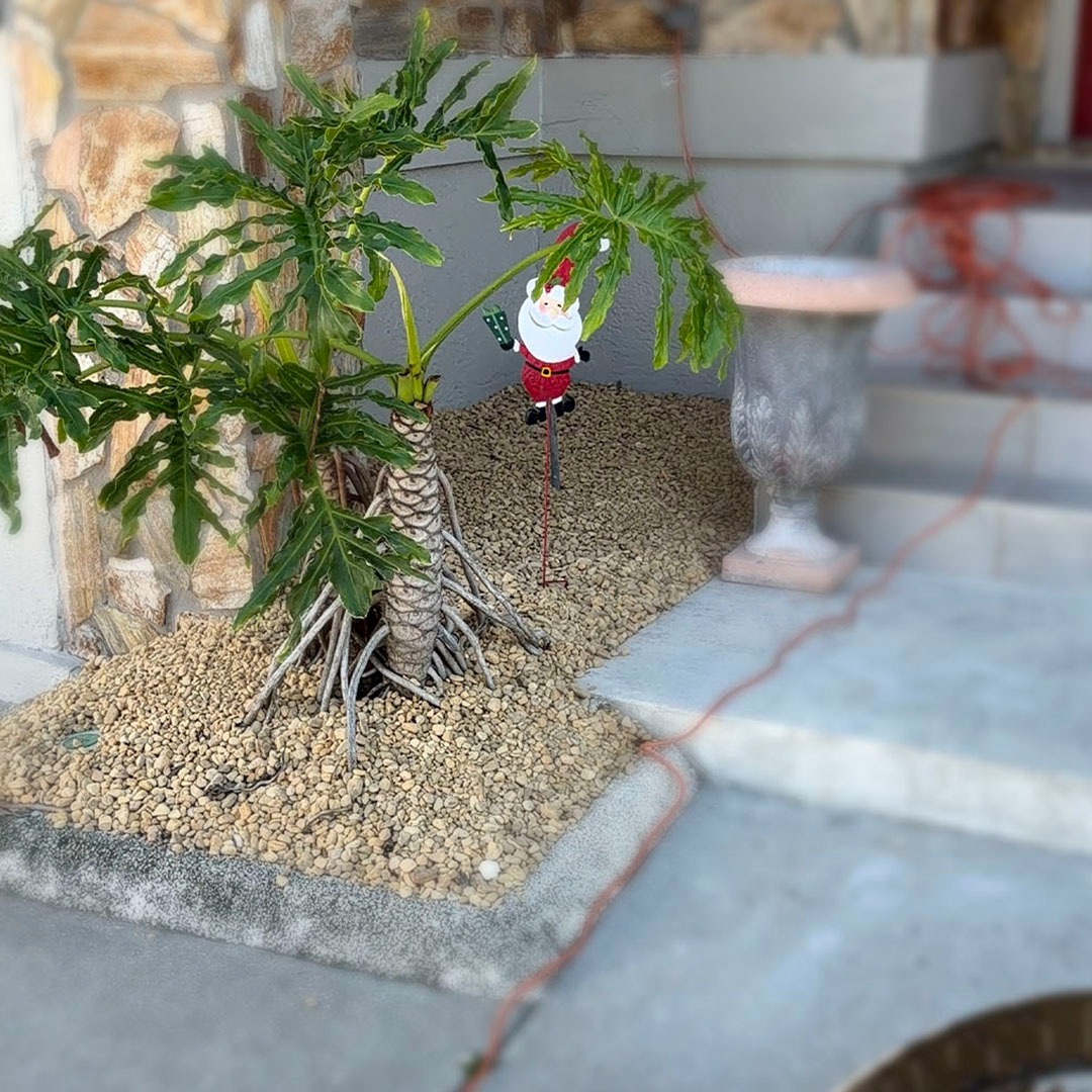 WhatsApp Image 2026-03-16 at 9.17.14 AM (2)