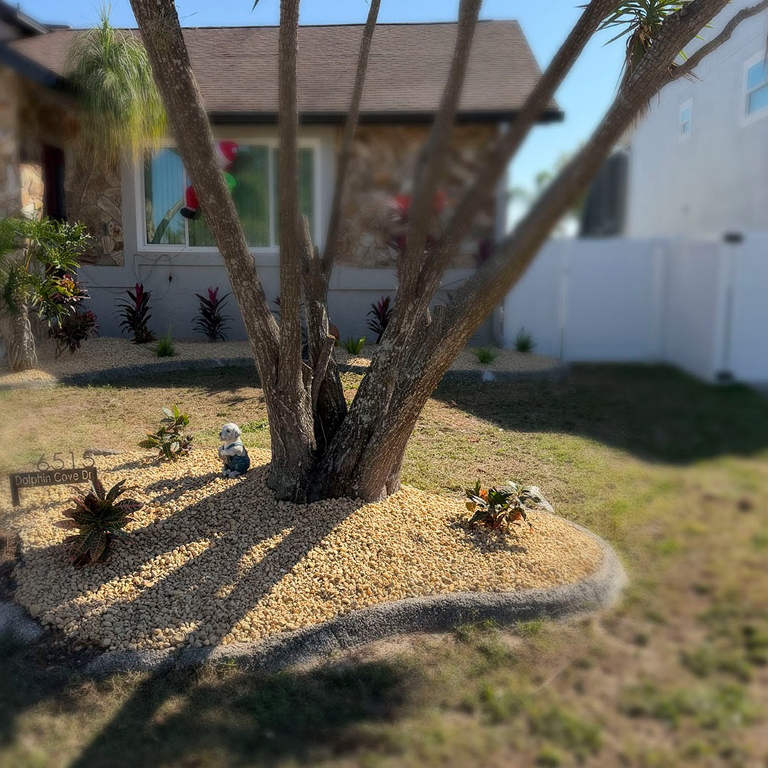 WhatsApp Image 2026-03-16 at 9.17.14 AM